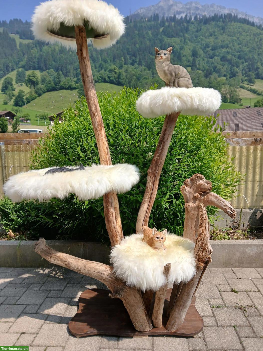 Bild 2: NEU: Unikat Katzenbaum aus Holz, Natur, sehr robust