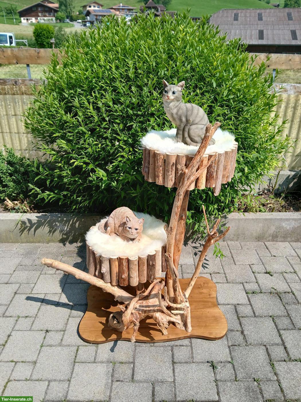 NEU: Outdoor Katzenbaum Natur