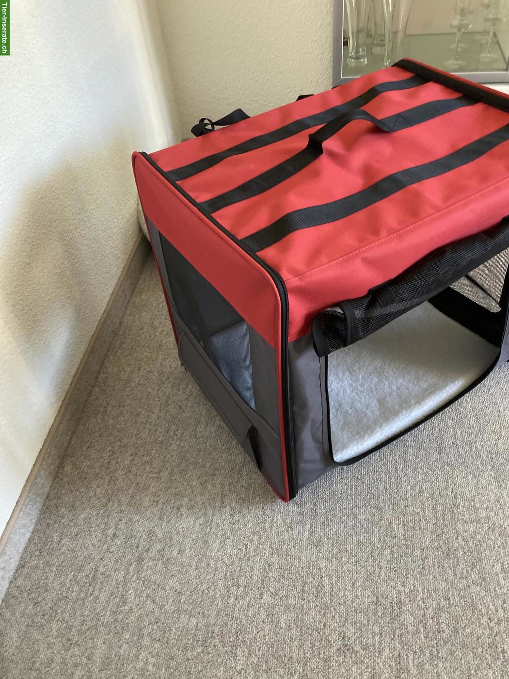 Faltbare Hundebox zu verkaufen
