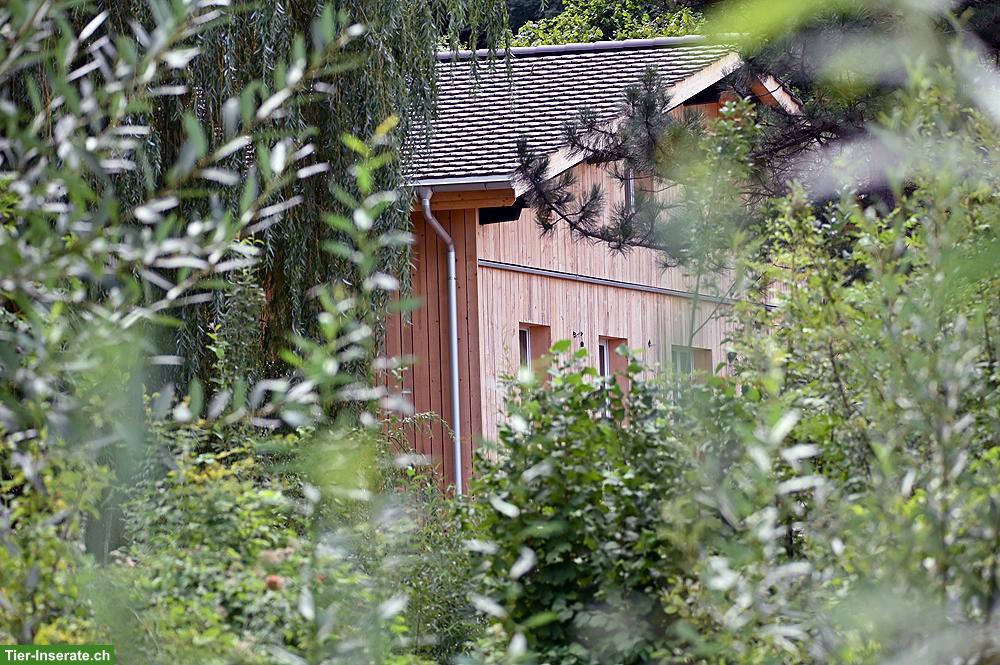 6-Zimmer-Wohnung mit viel Umschwung & auf Wunsch mit Gemüsegarten