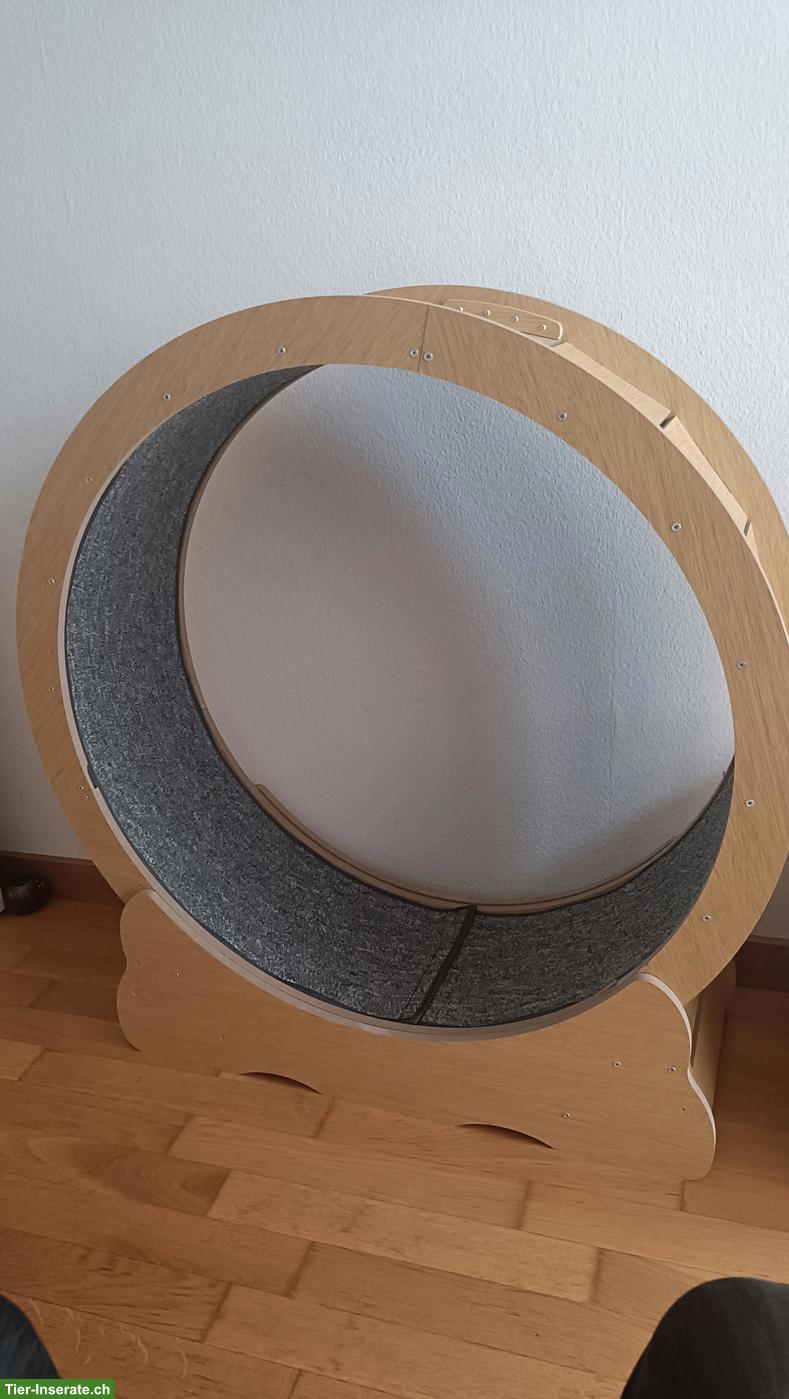 Neues Katzenlaufrad zu verkaufen