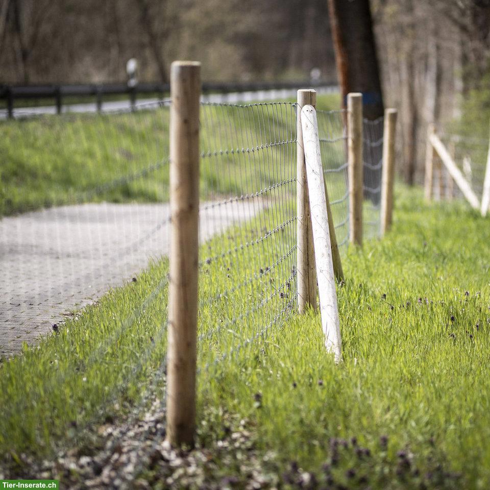 Bild 3: Biete Gartenarbeiten zu fairen Preisen