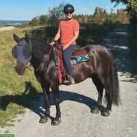 Suche neuen, langfristigen Pensionsplatz im Kanton OW, NW, UR
