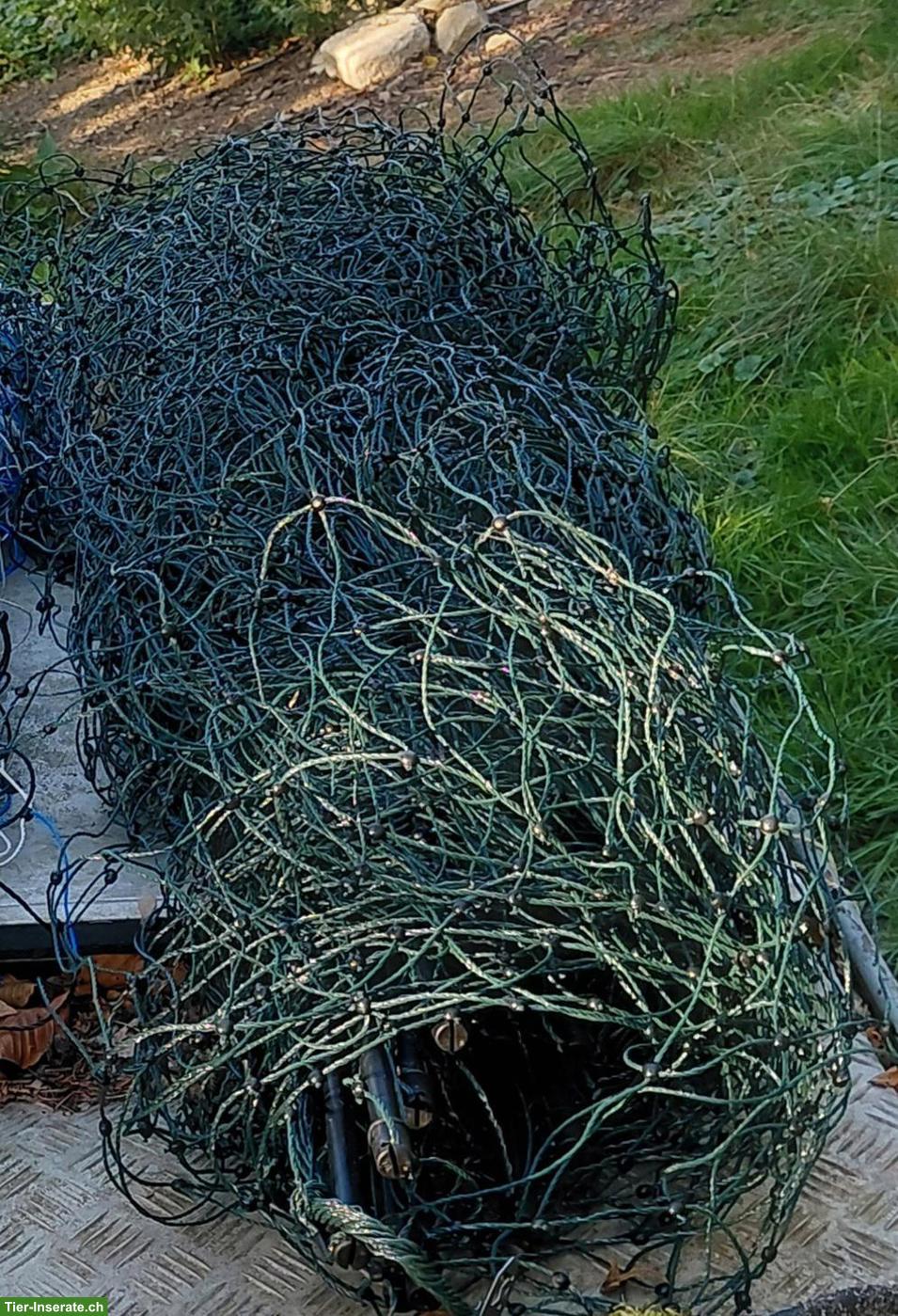 Bild 3: Zaunmaterial zu verkaufen