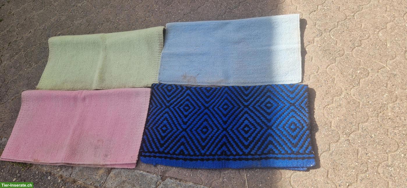Show Blankets zu verkaufen