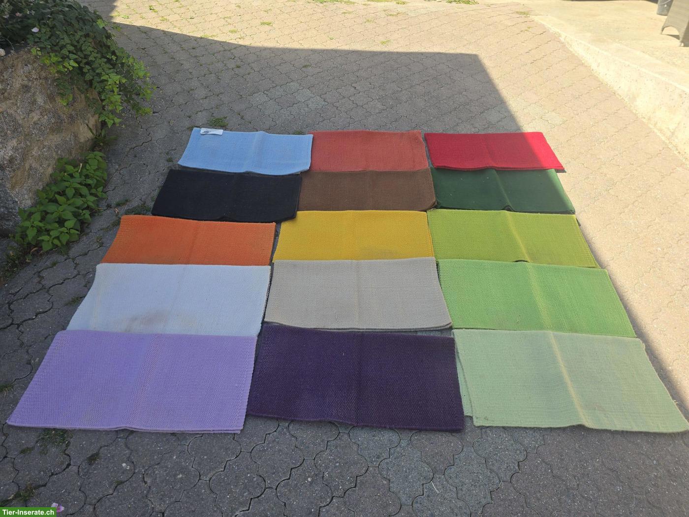 Bild 2: Show Blankets zu verkaufen