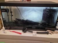 60L Aquarium mit Licht & Filter
