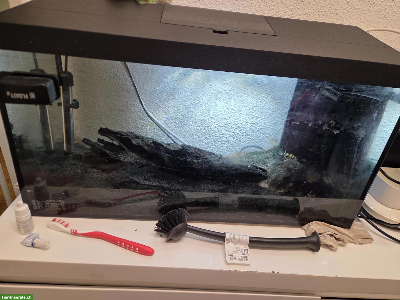Bild 2: 60L Aquarium mit Licht & Filter