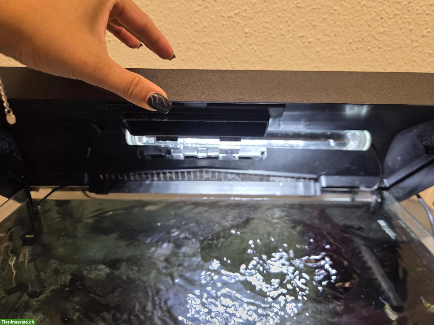 Bild 3: 60L Aquarium mit Licht & Filter