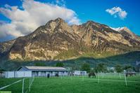 Stallhilfe gesucht für 6 Pferde in Balzers, Liechtenstein