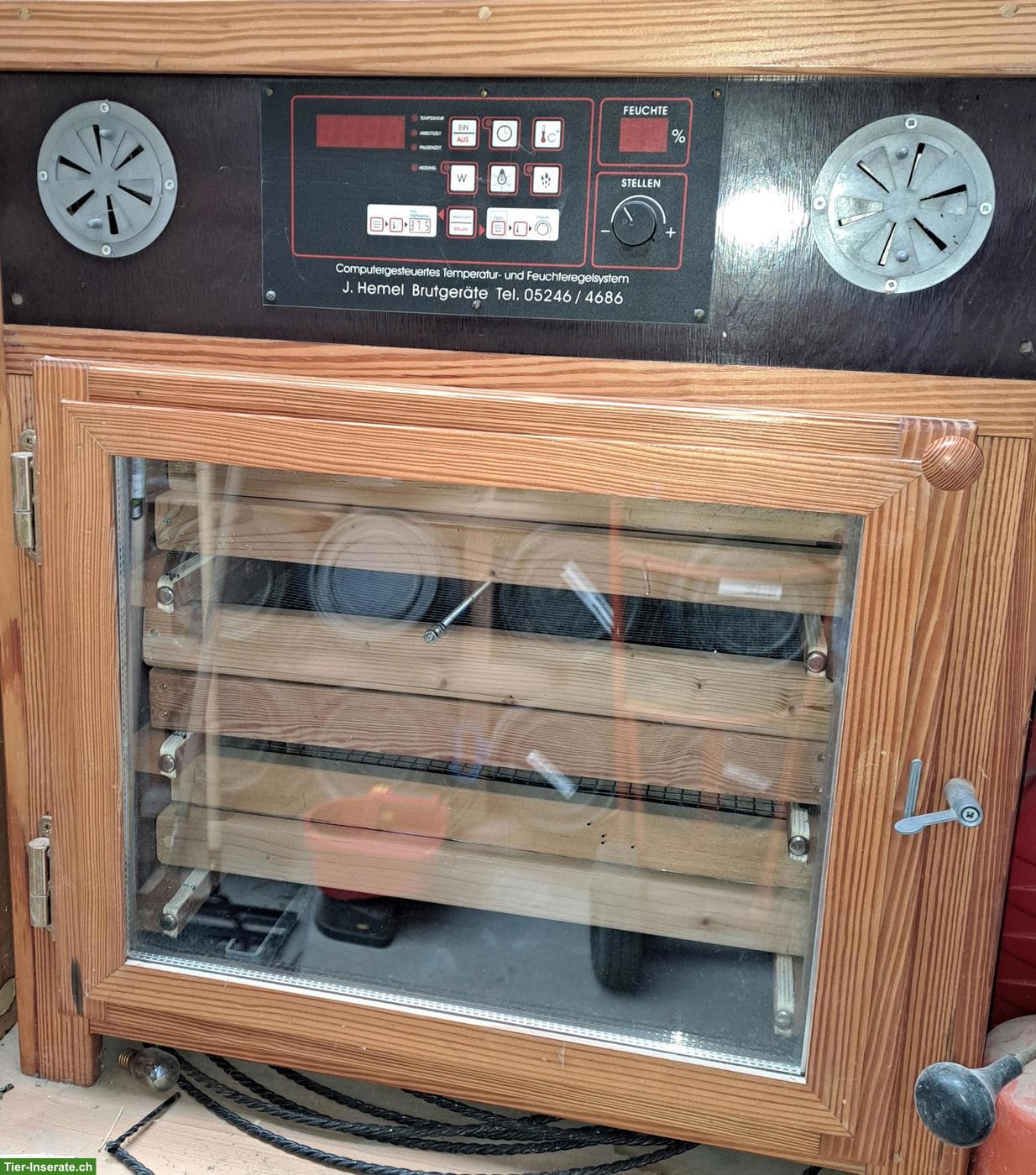 Hemel Brutkasten zu verkaufen