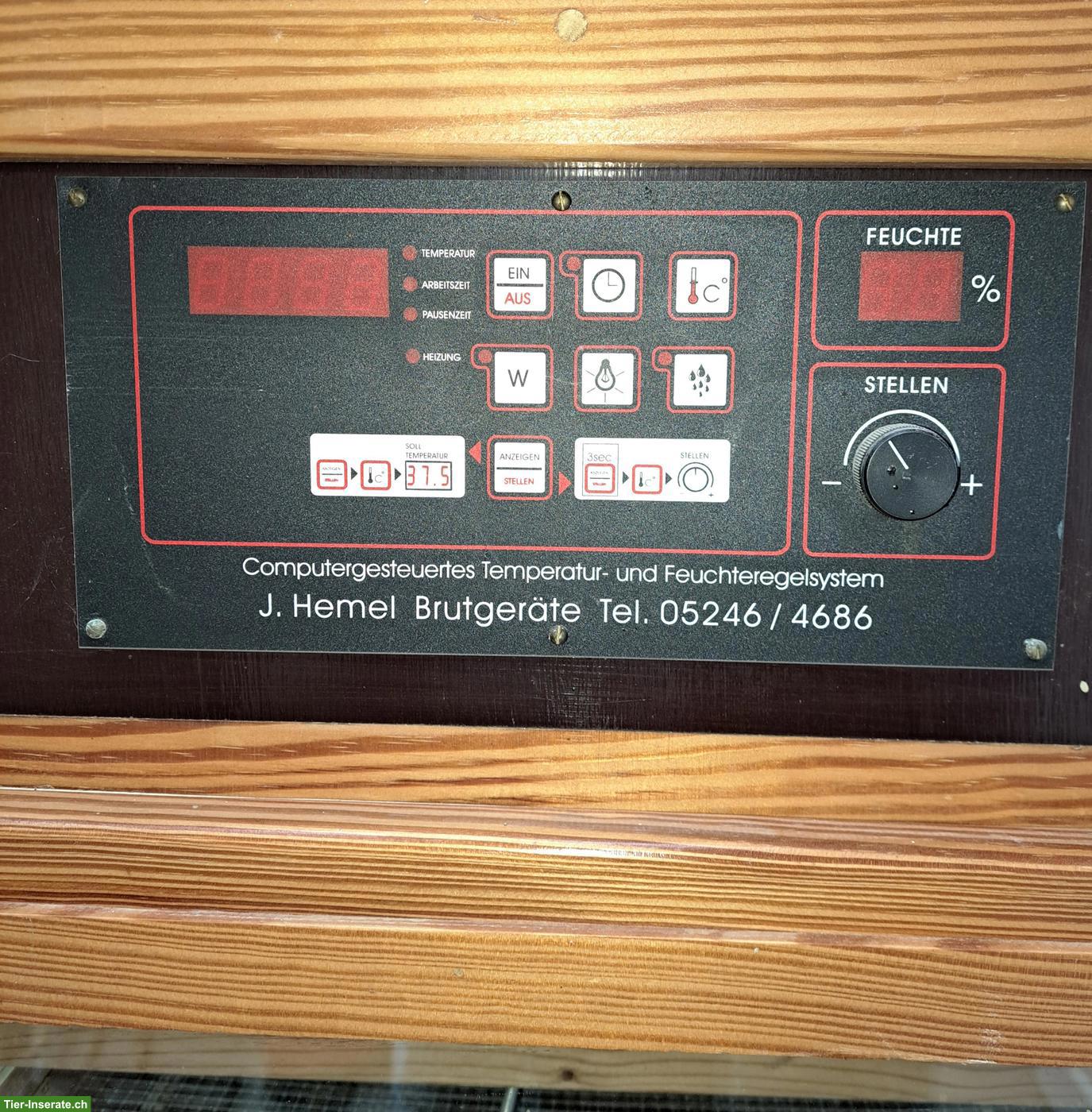 Bild 2: Hemel Brutkasten zu verkaufen