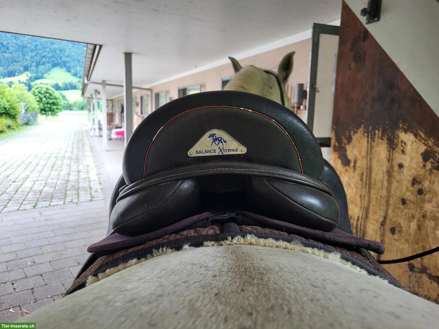 Bild 2: Dressursattel Balance Dressage Xtreme