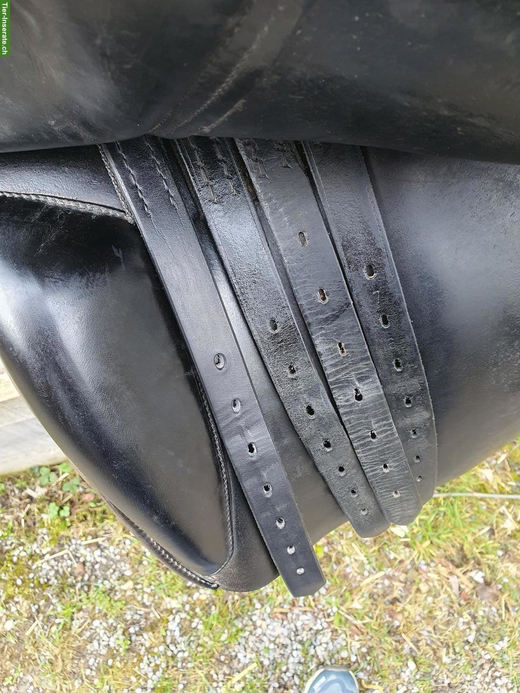 Bild 2: VSD Sattel Felix Bühler 17.5 Zoll zu verkaufen