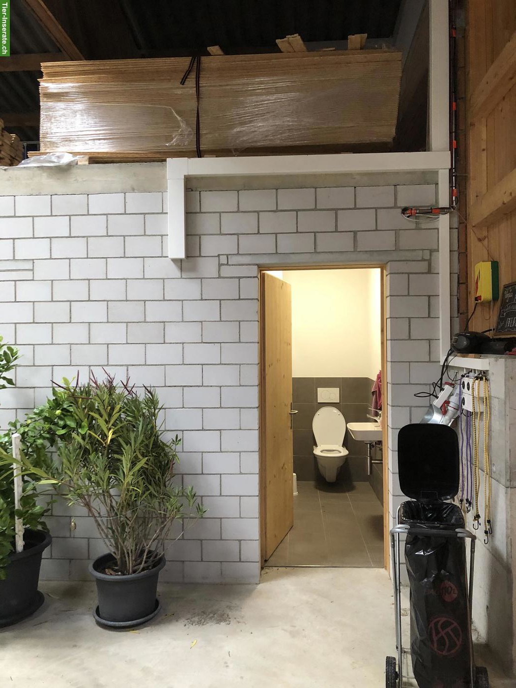 Bild 7: Biete wunderschönen Platz für einen Rentner
