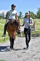 Reitunterricht / Beritt / Reha