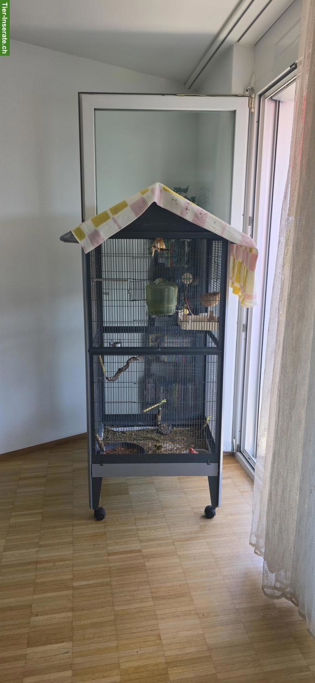 Vogelkäfig mit Zubehör zu verkaufen