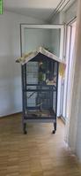 Vogelkäfig mit Zubehör zu verkaufen