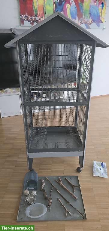 Bild 2: Vogelkäfig mit Zubehör zu verkaufen