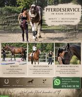 Beritt & Pferdebetreuung im Zürcher Oberland