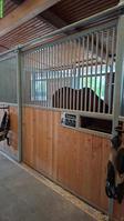 Pferdebox mit Auslauf in Sempach LU