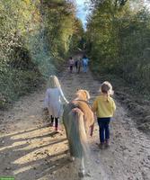 Kleine Hufspuren: Dein Einstieg zu den Ponys