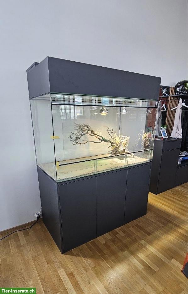 Terrarium mit Unterschrank, optional mit Zwergbartagamen