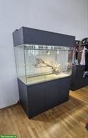 Terrarium mit Unterschrank, optional mit Zwergbartagamen