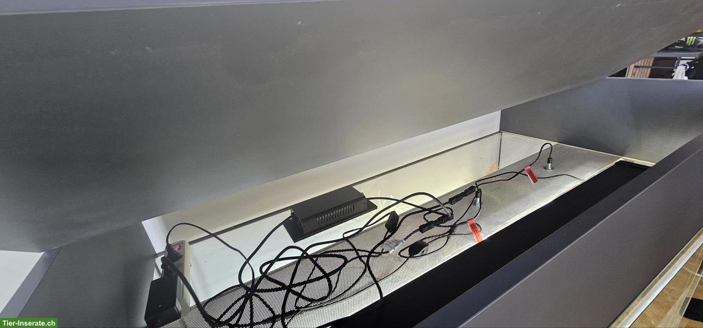 Bild 5: Terrarium mit Unterschrank, optional mit Zwergbartagamen