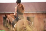 Entfessle dein volles Potenzial mit Mentaltraining für Reiter:innen