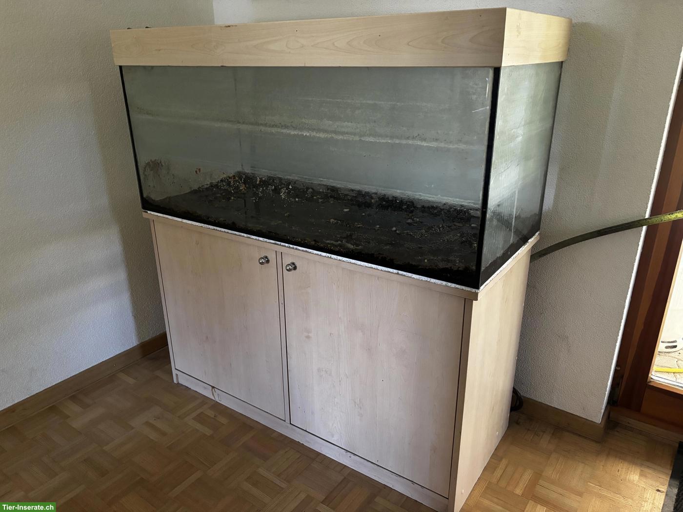 Älteres Aquarium 300L mit Unterschrank zu verschenken