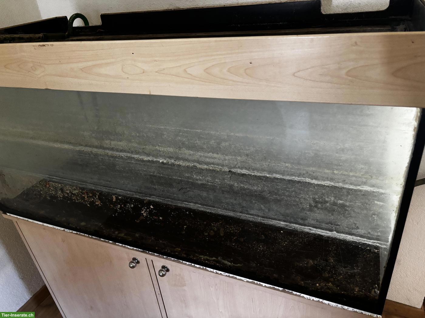 Bild 2: Älteres Aquarium 300L mit Unterschrank zu verschenken