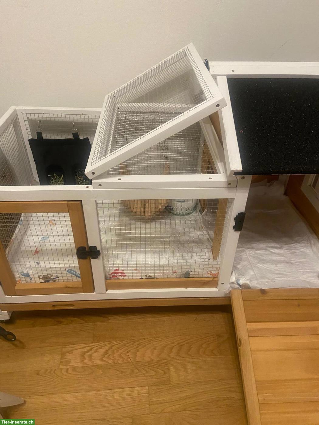 Bild 2: 2x Baby Kaninchen 7-8 Wochen alt mit Stall + Kleintiergehege