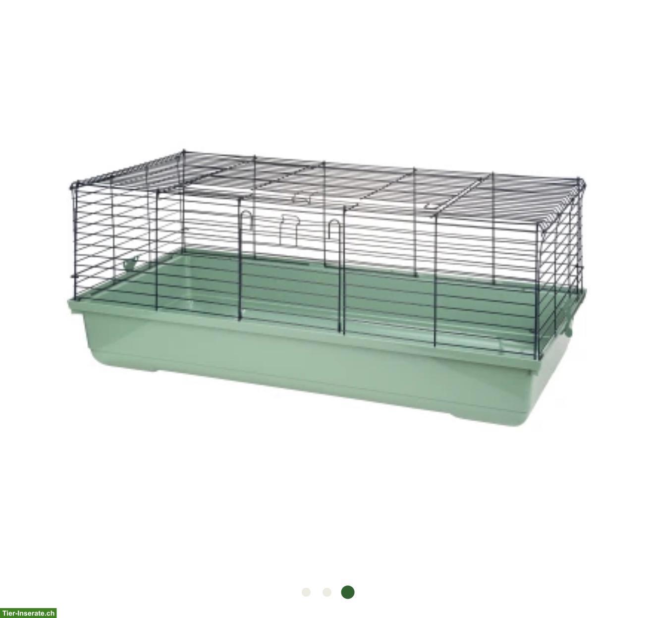 Bild 3: 2x Baby Kaninchen 7-8 Wochen alt mit Stall + Kleintiergehege