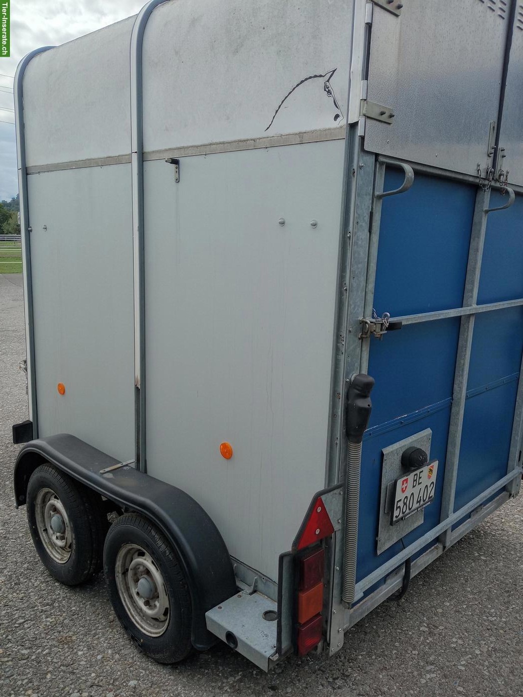 Bild 2: 2er Pferdeanhänger Ifor Williams HB505R zu verkaufen