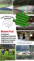 Grosse Pferdeboxen zu vermieten in Bubendorf BL