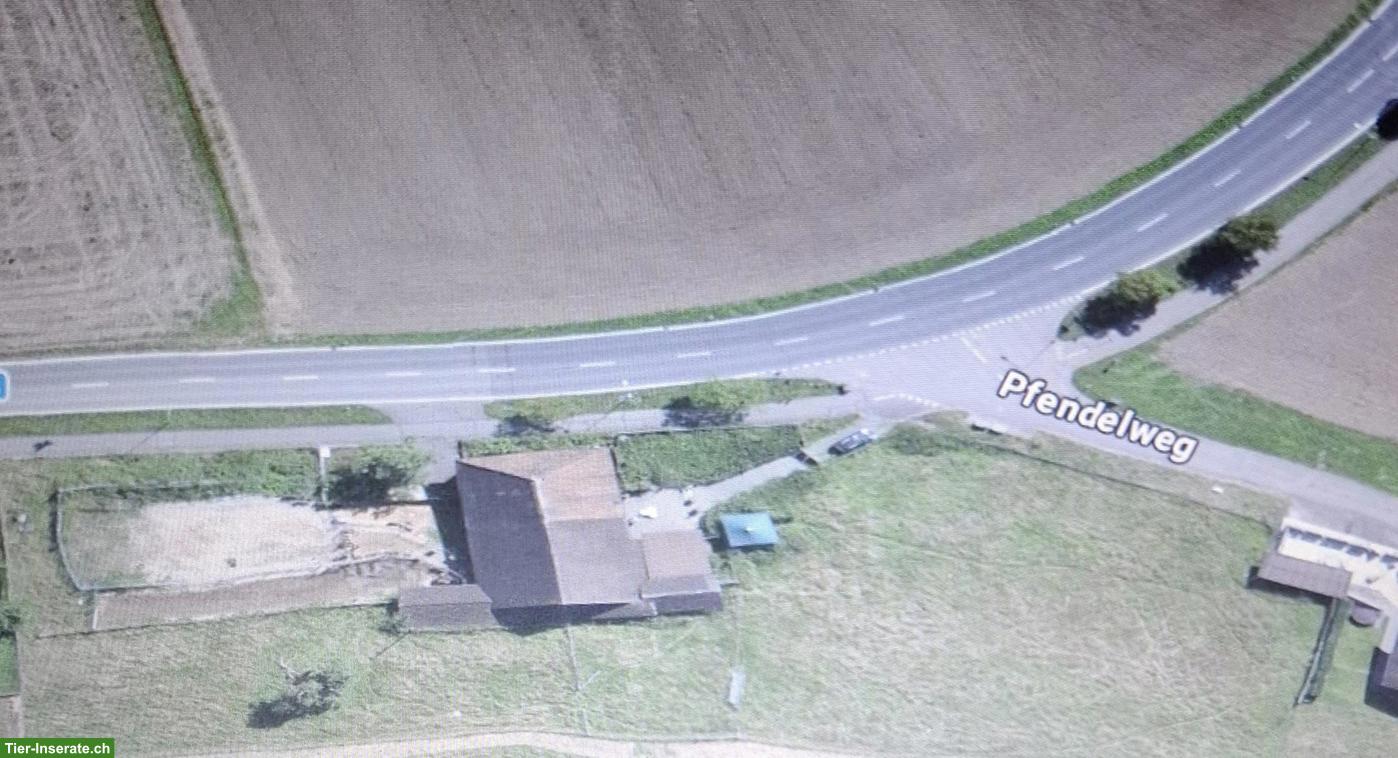 Freistehendes Bauerhaus mit Pferdestallungen von Privat zu verkaufen