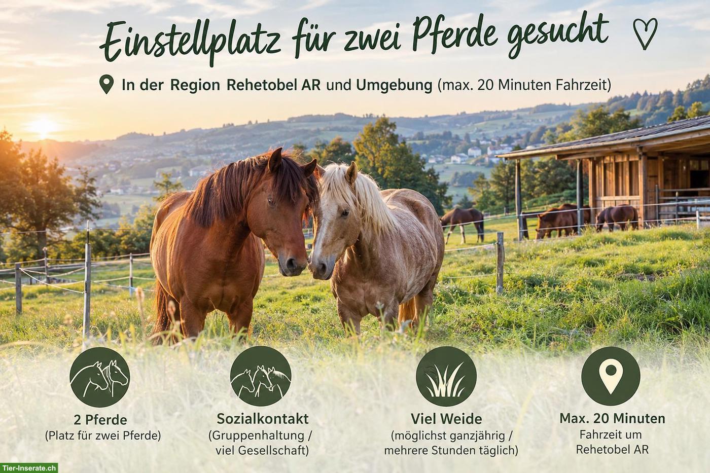 Suche für Pferdeduo einen Einstellplatz, Umkreis Rehetobel AR