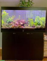 Aquarium 350 Liter mit kompletter Technik und Tieren