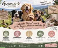 Liebevolle Hundebetreuung und Ferienbetreuung in Zwillikon ZH
