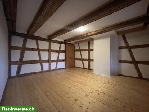 Bild 4: 5.5-Zimmer-Hausteil in wunderschönem Weiler in Gündelhart / Hörhausen