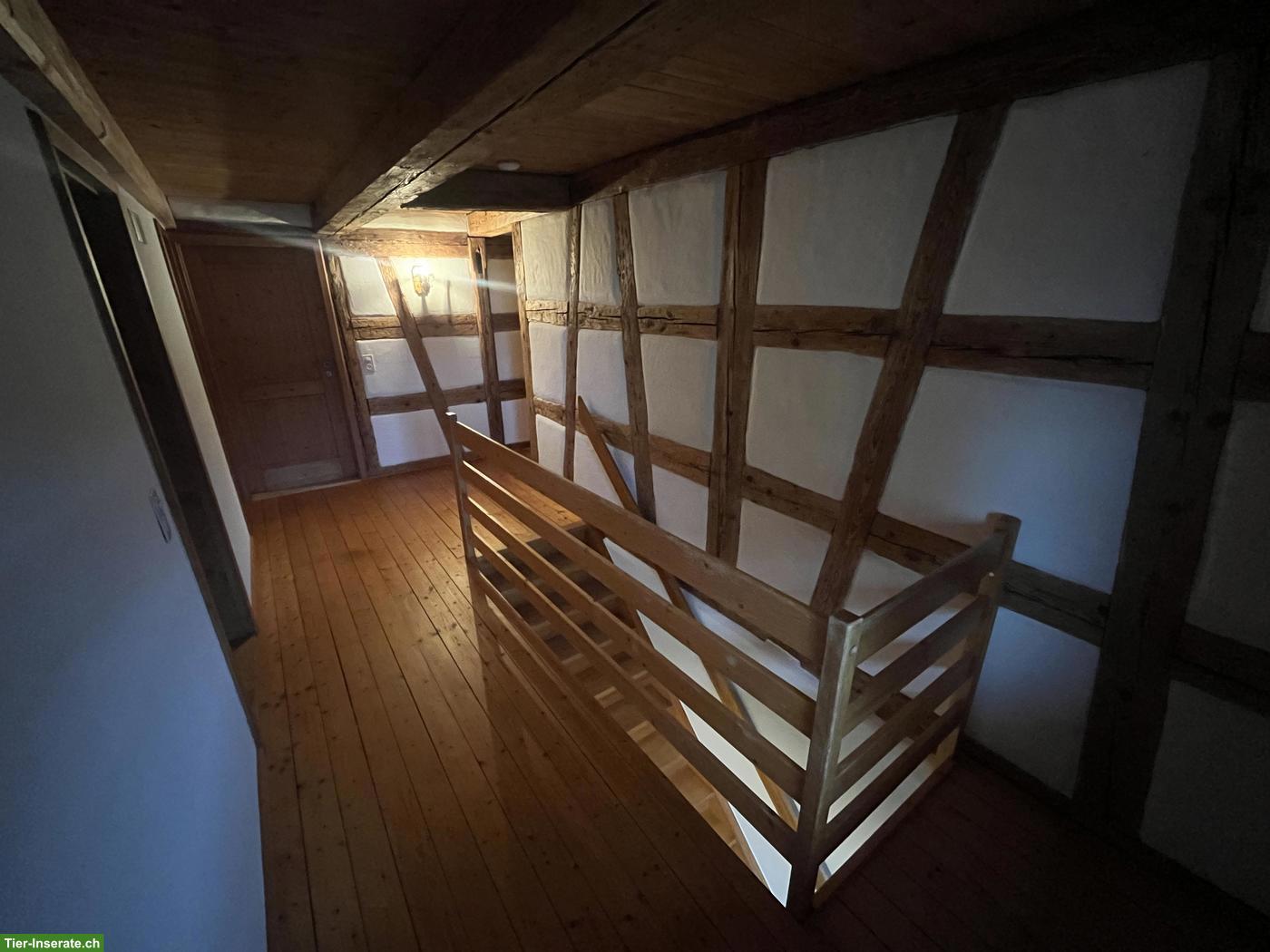 Bild 7: 5.5-Zimmer-Hausteil in wunderschönem Weiler in Gündelhart / Hörhausen