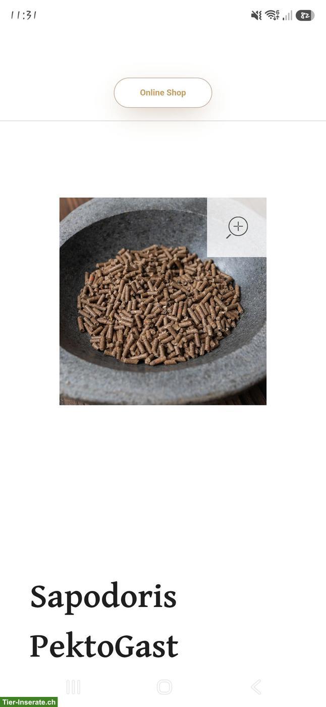Bild 2: Diverses Pferdefutter günstig zu verkaufen