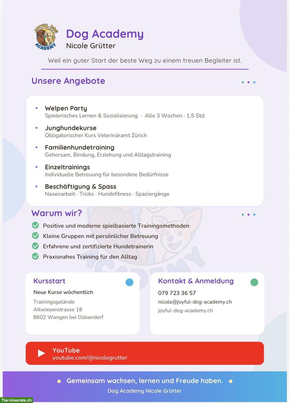 Erlebnis Hunde-Spaziergänge