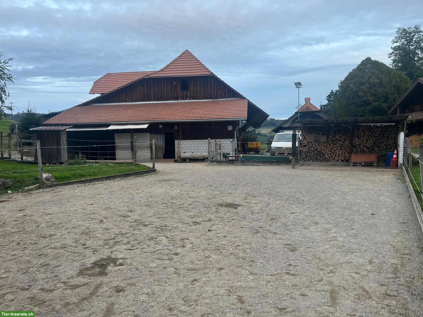Bild 3: Freier Offenstallplatz in der Nähe von Thun