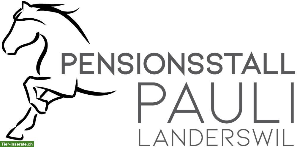 Innenboxe mit täglichem Weidegang in Detligen BE