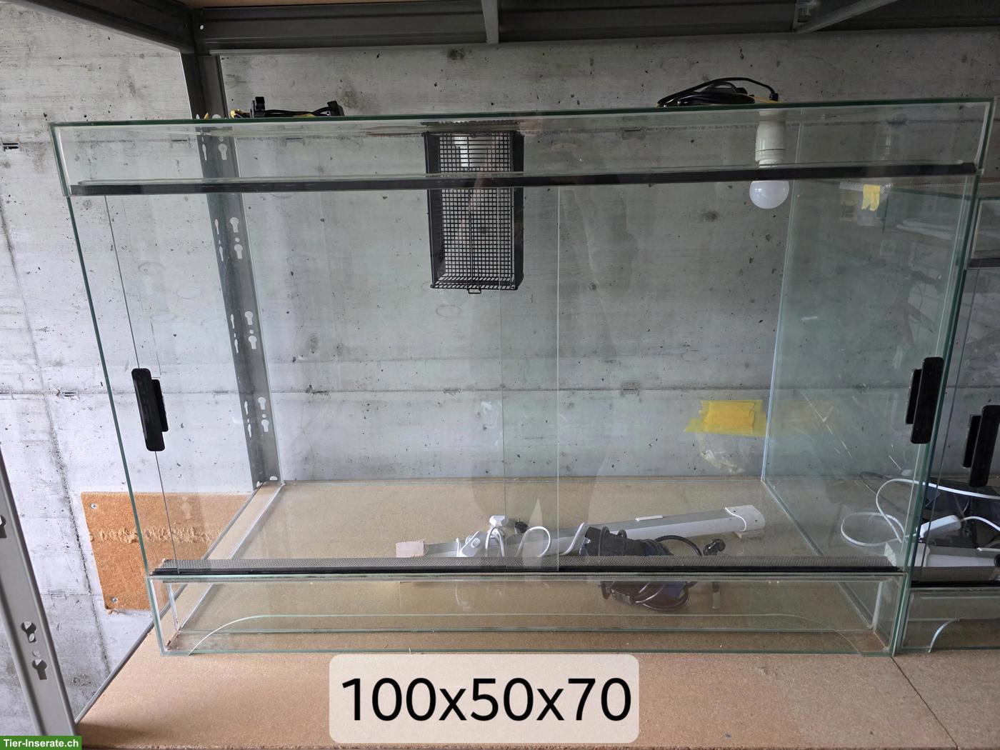 Glasterrarium 100x50x70cm zu verkaufen
