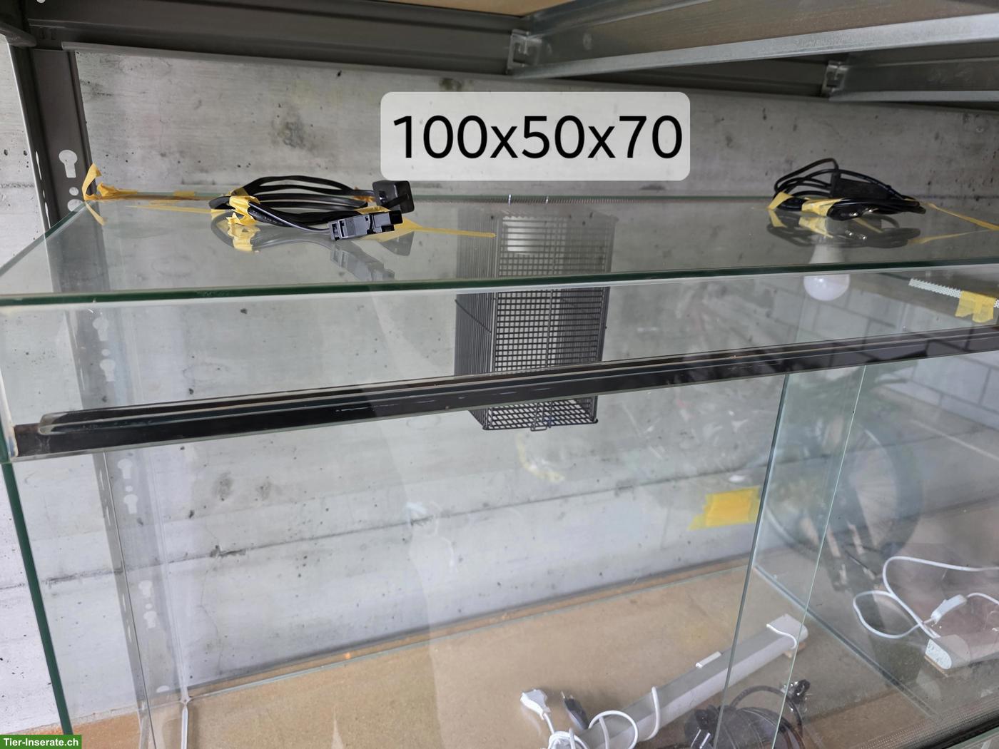 Bild 2: Glasterrarium 100x50x70cm zu verkaufen