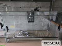 Glas Terrarium 100x50x60cm zu verkaufen