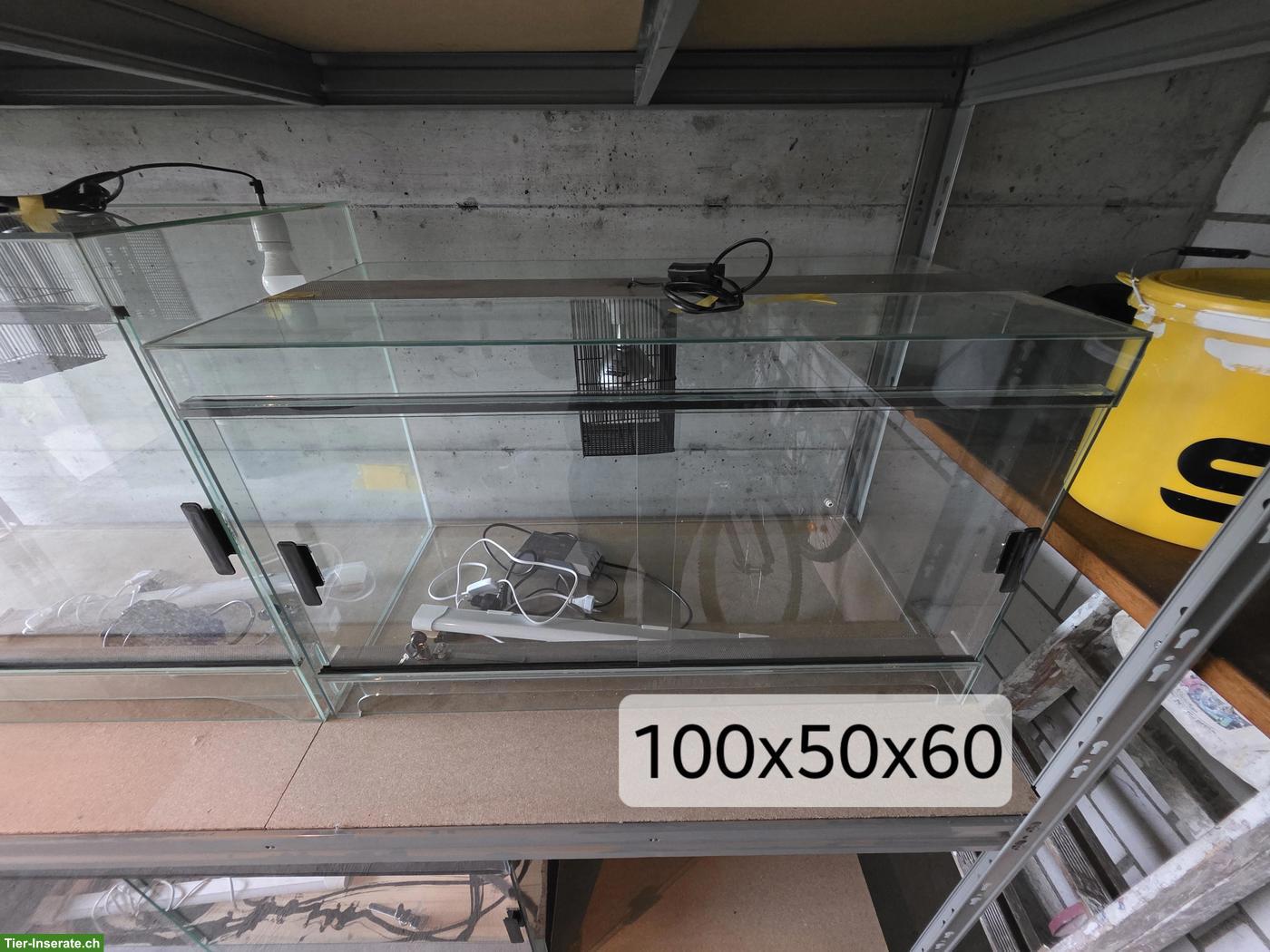 Bild 2: Glas Terrarium 100x50x60cm zu verkaufen